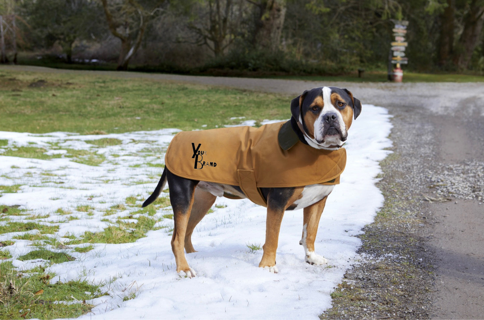 Carhartt ® Dog Chore Coat – loopson
